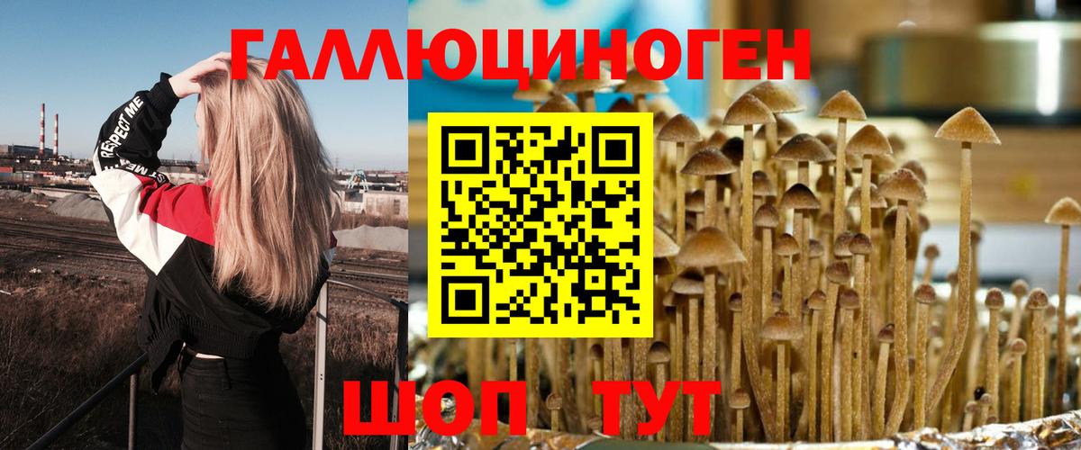Нефтекумск  Псилоцибиновые грибы Psilocybine cubensis  Вход с VPN 